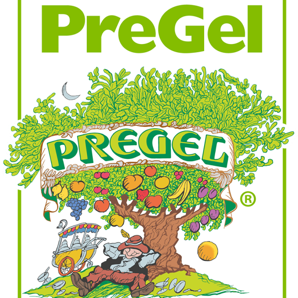 Pregel Paste,  Blackberry (Böğürtlen) 3 kg